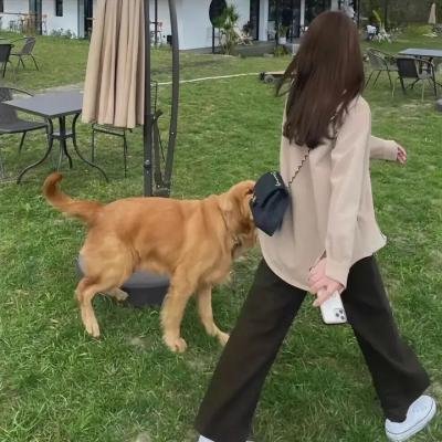 飞虎粤语