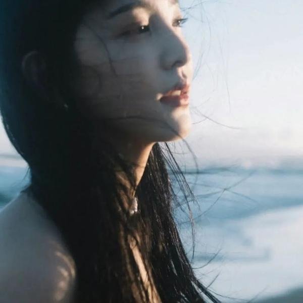 毕卡索之谜